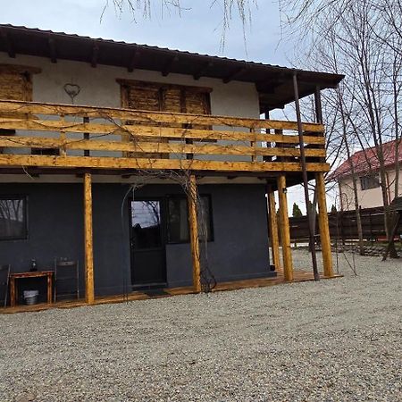 Vila Curtea de Argeş エクステリア 写真